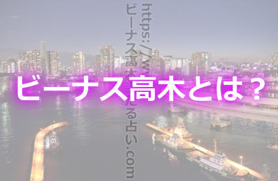 ビーナス高木ってどんな占い師さん?口コミで有名なビーナス高木の占い